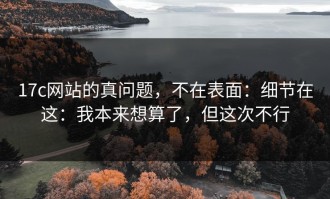 17c网站的真问题，不在表面：细节在这：我本来想算了，但这次不行