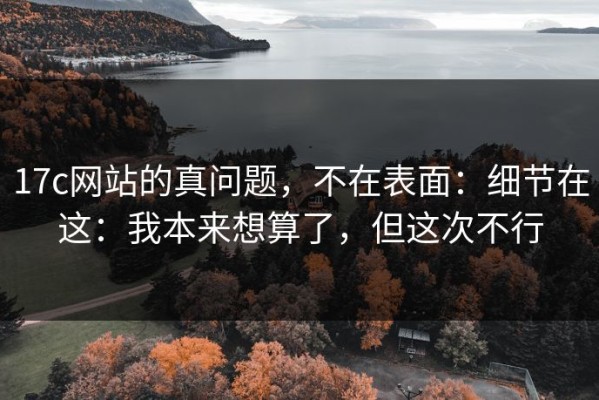 17c网站的真问题，不在表面：细节在这：我本来想算了，但这次不行